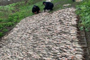 В Днепропетровской области задержаны браконьеры с 200 кг рыбы