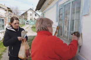 Из-за бешенства в Бердянске объявлен карантин