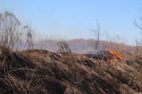 За несколько дней в регионе потушено два лесных пожара