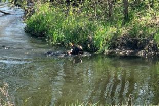 В Донецкой области пенсионер застрелил вора и выбросил тело в речку
