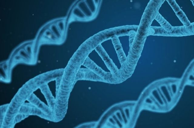 ДНК и рак. Онкогенетик о роли наследственности и мутации генов