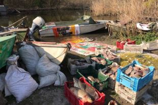 В Запорожской области браконьер подрался с сотрудником рыбинспекции