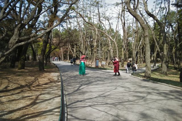 Прогулки по паркам в Корее познавательны и для здоровья полезны.