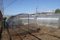 Воспитанники тюменской колонии будут выращивать овощи в новых теплицах 