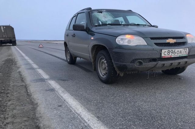 На Ямале пассажира убил кусок льда, прилетевший в лобовое стекло автомобиля