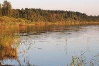 В Тазовском районе появится первое озеро для разведения рыбы