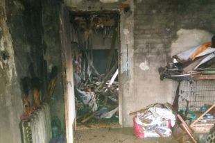 В Киеве сгорел приют для котов
