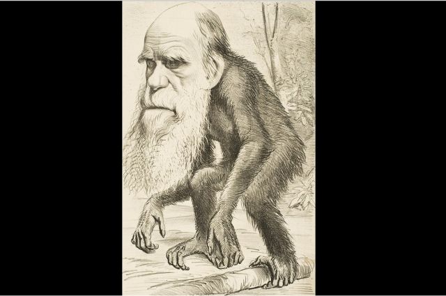 Карикатура на Чарльза Дарвина, 1871 год