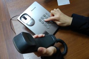 В Тюменской области начала работу «горячая линия» по защите от клещей