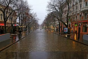 В Одессе активистку обили фекалиями
