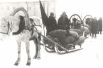 Красный обоз с хлебом в фонд обороны от колхоза имени Оплеснина Тентюковского сельсовета, декабрь 1943 г.
