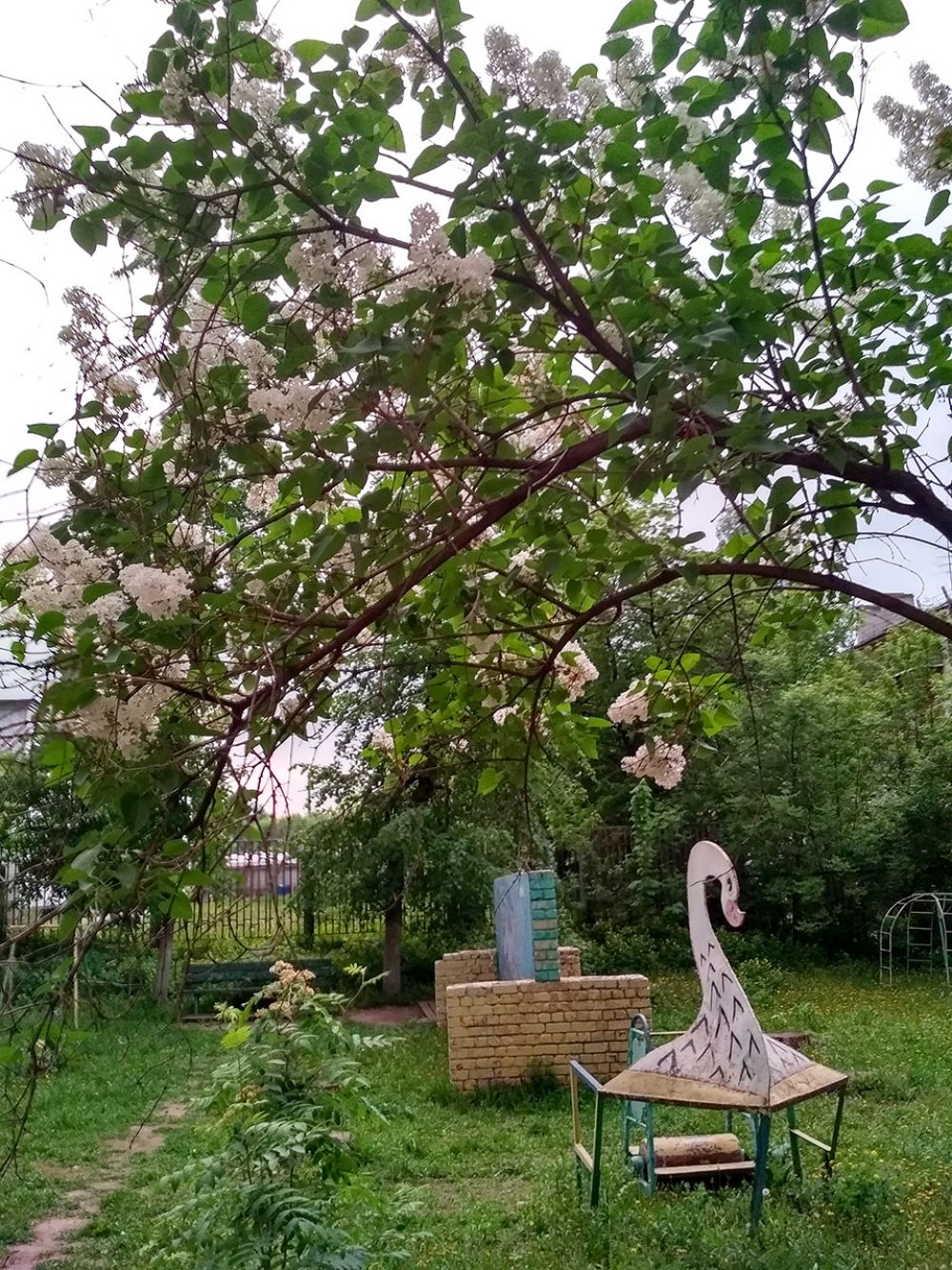 Аромат черемухи стелется по дворам, наполняя теплом и радостью сердца.