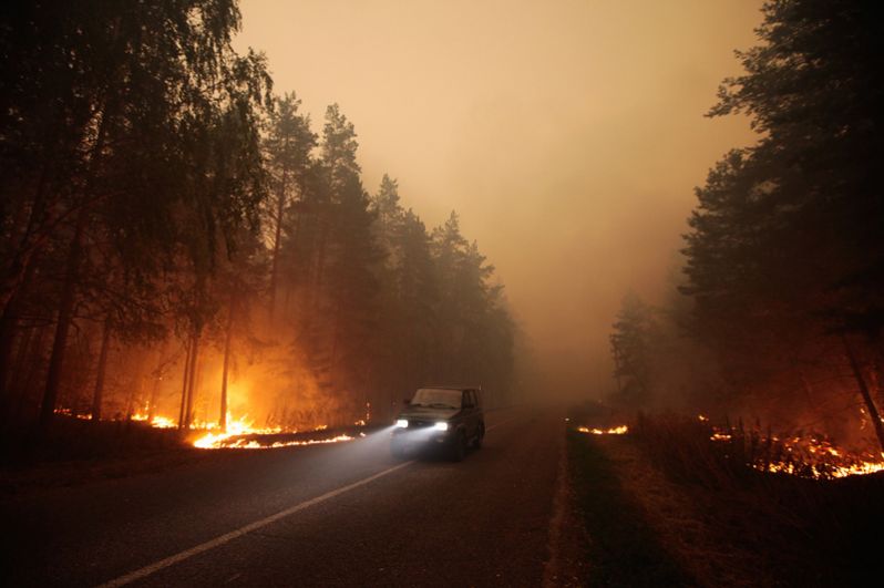 Пожары в россии в 2010 фото
