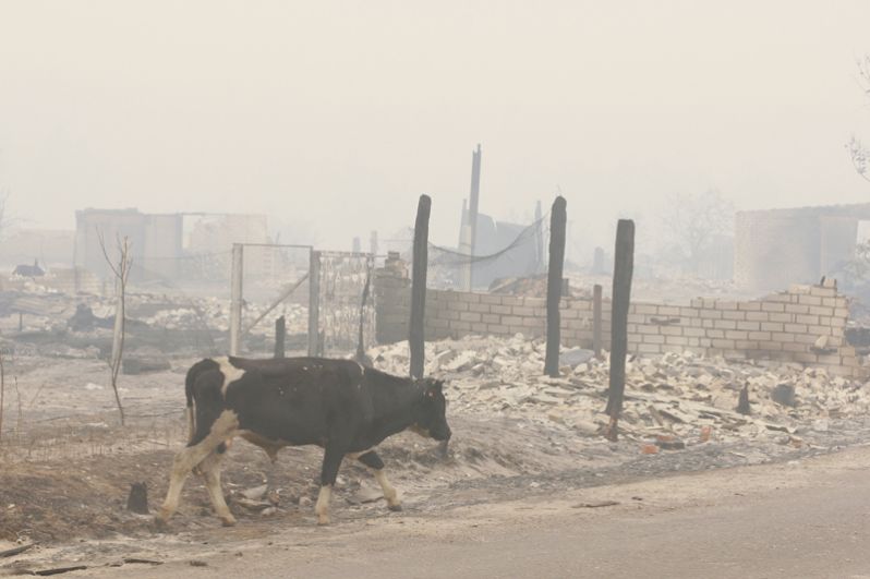Последствия пожара в поселке Верхняя Верея Нижегородской области.