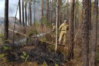 На борьбу с пожарами из бюджета Иркутской области выделят дополнительно почти 300 млн рублей.