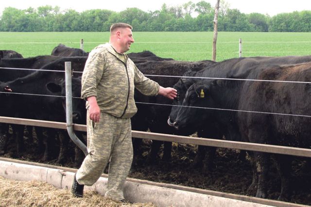 Сергей Звягинцев не без гордости демонстрирует своё поголовье скота.