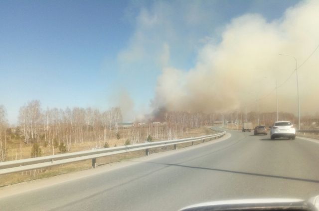 В Тюменской области зафиксирован рост числа пожаров из-за сухой травы