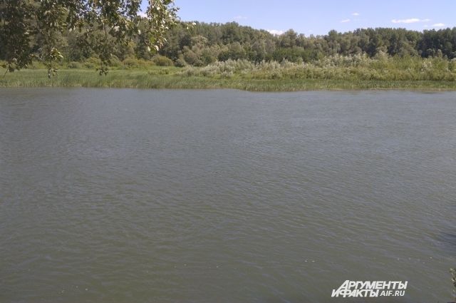В Соль-Илецке следователи выясняют обстоятельства смерти мужчины в озере