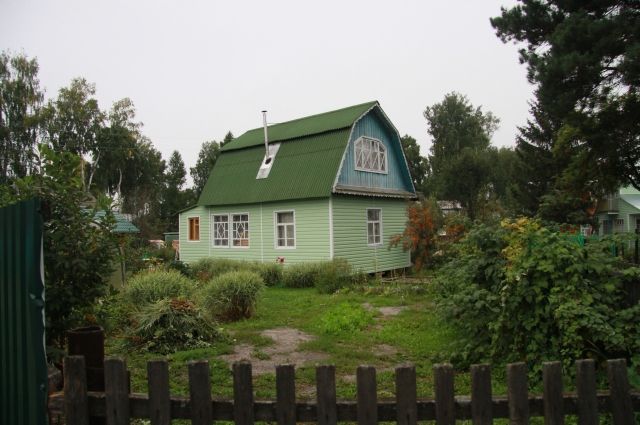 В России начал действовать новый закон о садоводстве и огородничестве. 