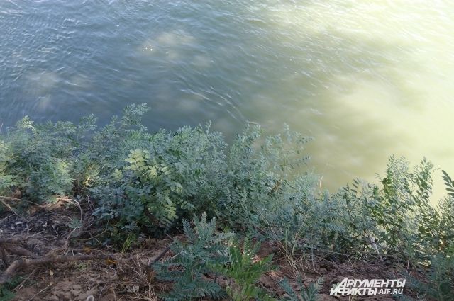 В Бугуруслане в карьерном озере утонул ребенок