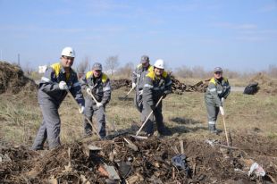 В рамках всероссийской акции «Зелёная весна» и городской «Уютная Сызрань» в субботнике приняли участие 150 сотрудников завода