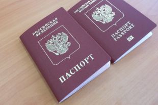 Депутат предложил отбирать имущество у жителей Донбасса с паспортами РФ