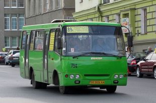 Водитель силой высадил из маршрутки мать с детьми: две версии инцидента