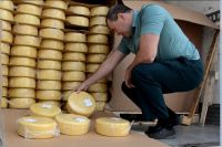 В Оренбуржье уничтожено свыше 20 тонн литовского сыра.