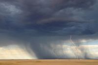 Во Львовской области во время грозы молния поразила 25-летнюю женщину.