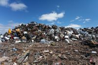 Только в Архангельске 19 нелегальных свалок, а легальные не справляются с тоннами завозимого мусора.