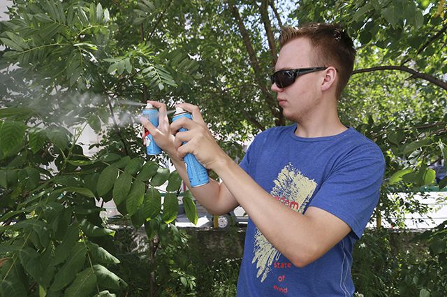 В Барнауле увеличилась численность комаров 