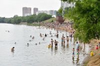 Плавать можно и в Москве-реке, и в бассейнах, расположенных на берегу. 