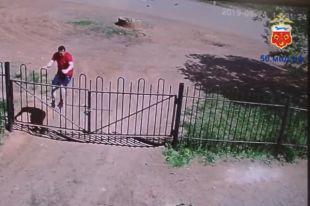 В Оренбурге продолжается розыск подозреваемого в грабеже
