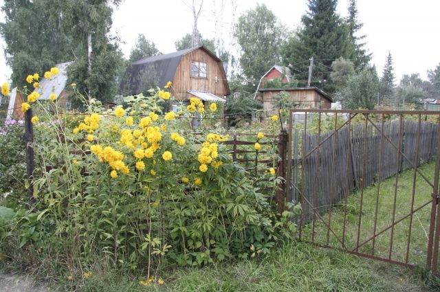 Сосед сделал калитку на мой участок