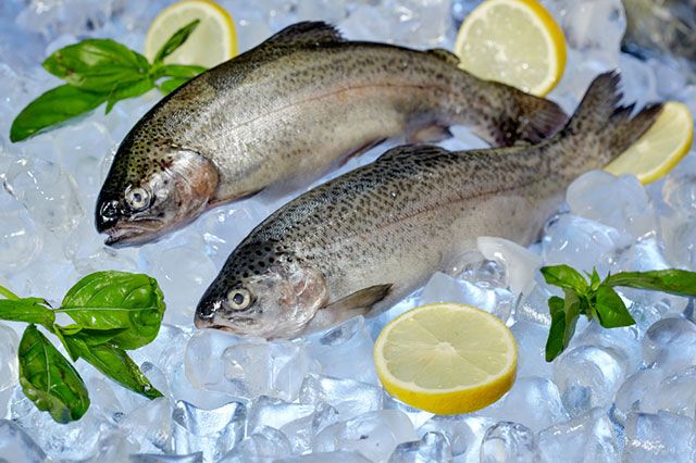 10 маленьких хитростей, как идеально сохранить свежую рыбу | кухня | Дзен