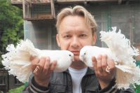 У Михаила Фирсакова живут несколько почтовых голубей. Он запускает их из разных районов Москвы, и они всегда находят дорогу домой, в своё родное Коньково.
