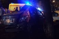 ДТП произошло в 3:10 ночи, автомобиль Hyundai Solaris совершил наезд на препятствие, предположительно, камень, а затем столкнулся с деревом.