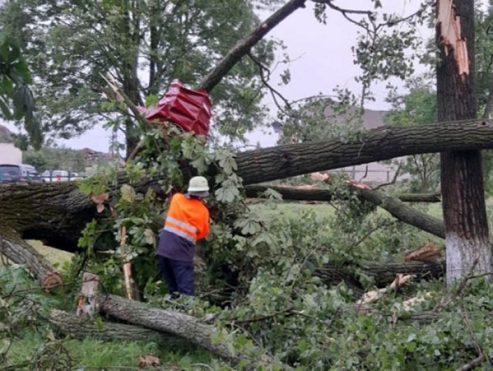 Спасатели работают в Ужгородском районе уже несколько дней - убирают деревья, упавшие на линии электропередач и на дороги.