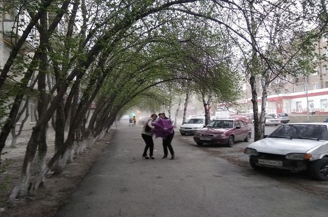 Ямальцам рассказали о правилах безопасности в ветреную погоду