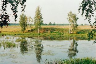 Фото 1.