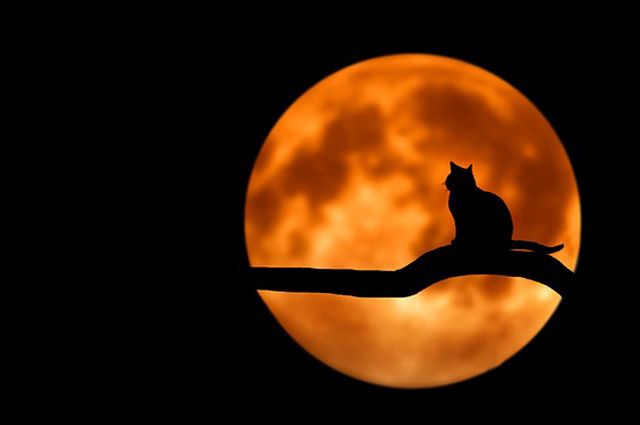 Луна будет проходить через земную тень, приобретая красно-бурый цвет.