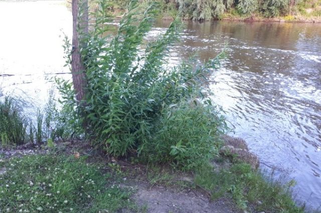 В реке Ишим утонул 12-летний подросток из поселка Октябрьский