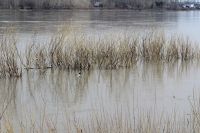 Сточные шахтные воды ПАО «Распадская» попадали в реку Ольжерас.