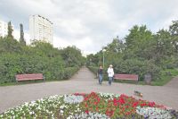 Парк «Яблоневый сад» – это остатки колхозного сада деревни Строгино.