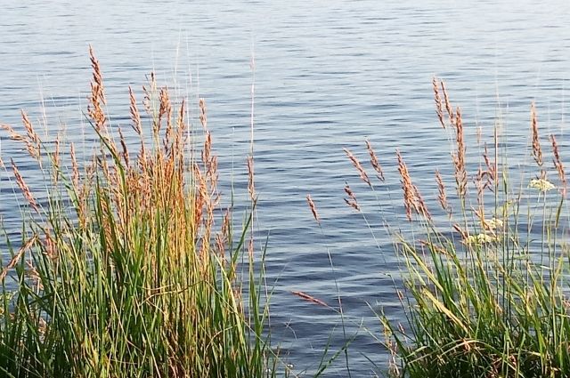 Под Соль-Илецком водолазы нашли тело мужчины в озере