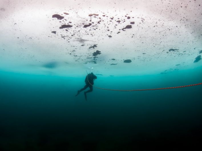 Фридайвер Энтони Уильямс из Новой Зеландии совершил самое глубокое погружение под лед, с задержкой дыхания в ластах и гидрокостюме. Наверное, ему по плечу заплывы за буйки!