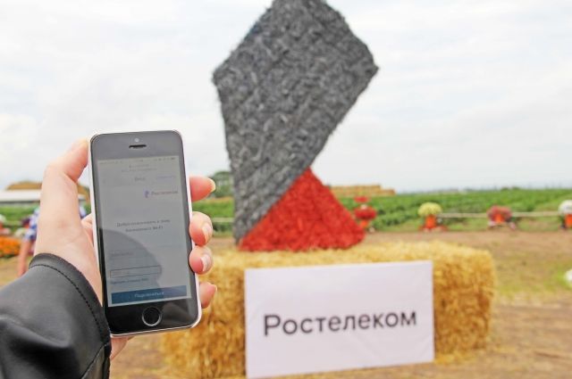 На бахче «Пономарёво» появился бесплатный скоростной интернет.