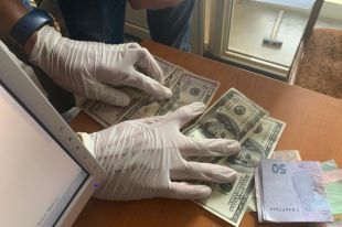 Под Кирилловкой чиновник за взятку отдал в аренду прибережные участки