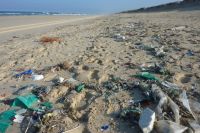 Берега рек и Черноморское побережье завалены одноразовым пластиком.