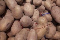 Убийца зубов: врачи назвали главную опасность картофеля